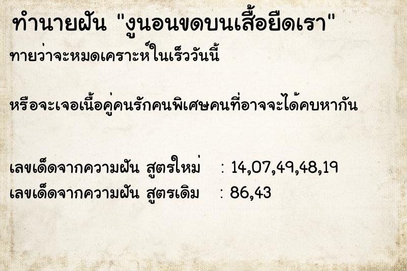 ทำนายฝัน งูนอนขดบนเสื้อยืดเรา ทำนายฝัน งูนอนขดบนเสื้อยืดเรา