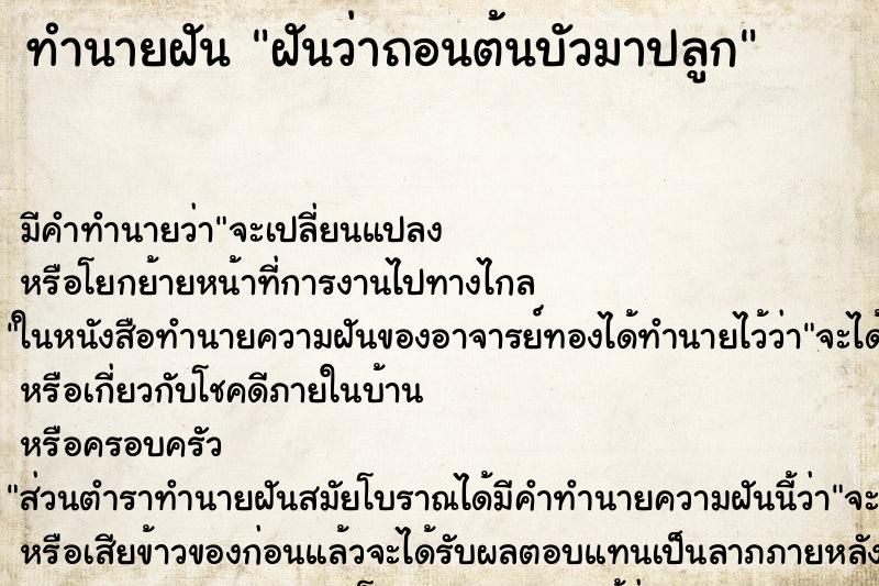 ทำนายฝัน ฝันว่าถอนต้นบัวมาปลูก ทำนายฝัน ฝันว่าถอนต้นบัวมาปลูก