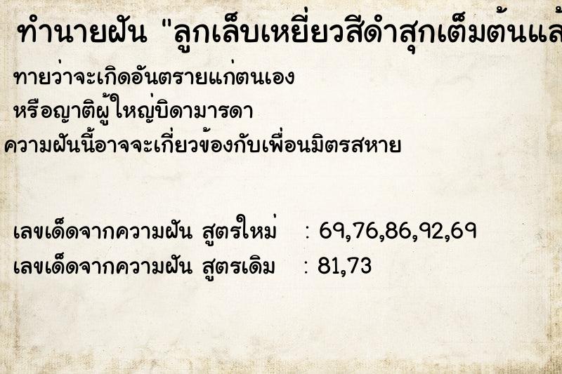 ทำนายฝันทำนายฝันลูกเล็บเหยี่ยวสีดำสุกเต็มต้นแล้วเก็บกิน