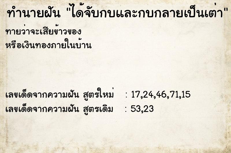 ทำนายฝันได้จับกบและกบกลายเป็นเต่า ทำนายฝันทำนายฝันได้จับกบและกบกลายเป็นเต่า