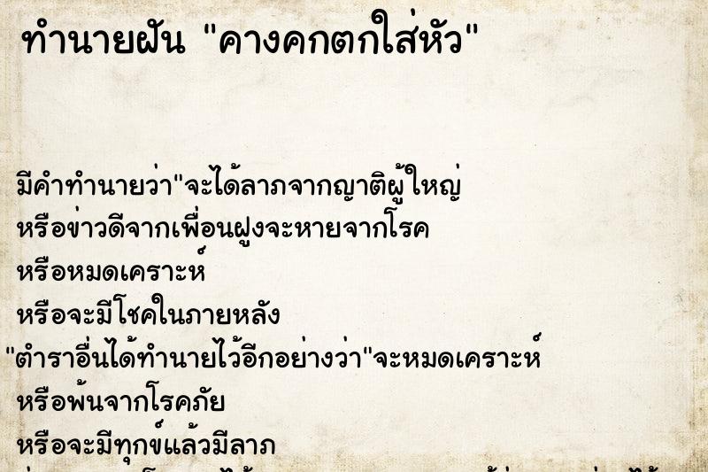 ทำนายฝันทำนายฝันคางคกตกใส่หัว