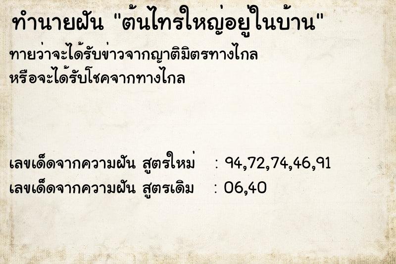 ทำนายฝันทำนายฝันต้นไทรใหญ่อยู่ในบ้าน