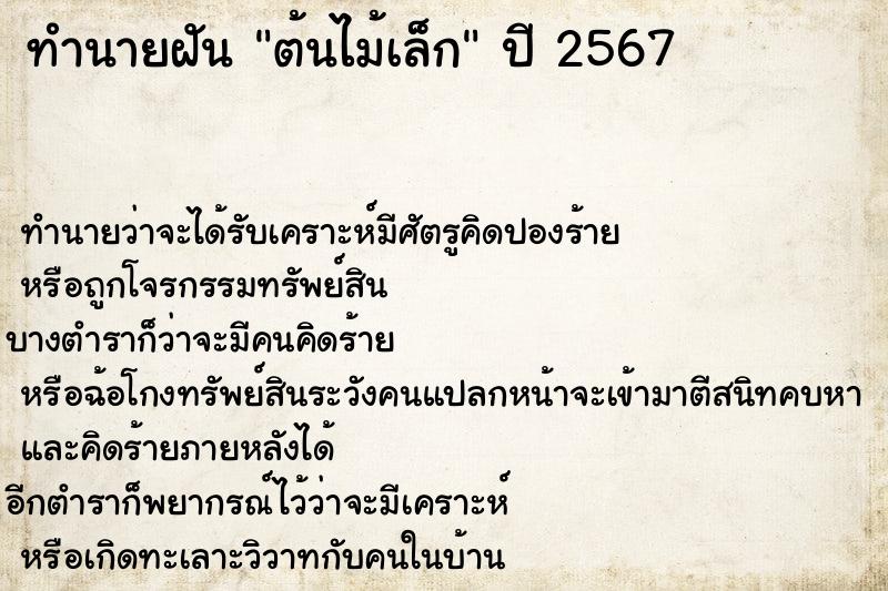 ทำนายฝันต้นไม้เล็ก ทำนายฝันทำนายฝันต้นไม้เล็ก