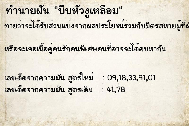 ทำนายฝันบีบหัวงูเหลือม ทำนายฝันทำนายฝันบีบหัวงูเหลือม