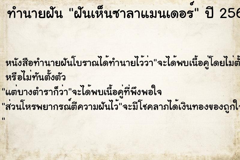 ทำนายฝันฝันเห็นซาลาแมนเดอร์ ทำนายฝันทำนายฝันฝันเห็นซาลาแมนเดอร์