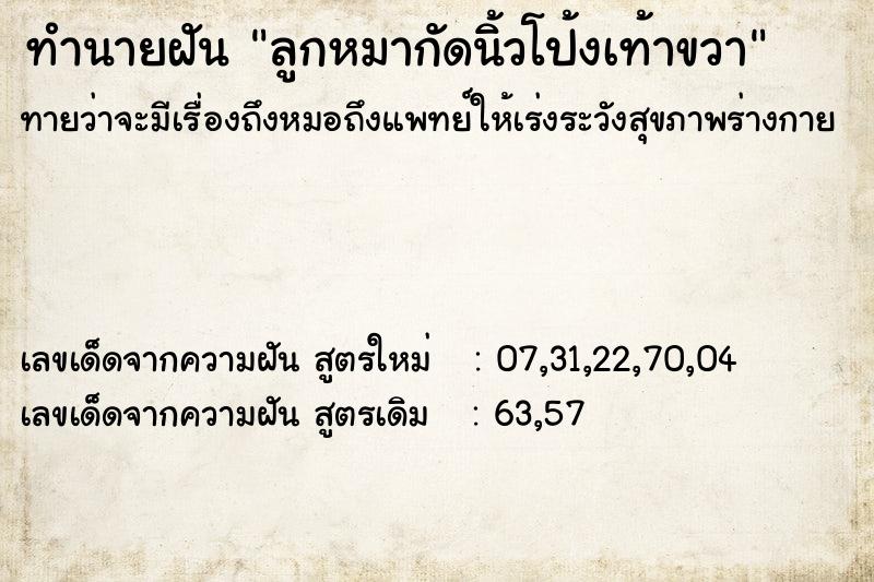 ทำนายฝัน ลูกหมากัดนิ้วโป้งเท้าขวา ทำนายฝัน ลูกหมากัดนิ้วโป้งเท้าขวา