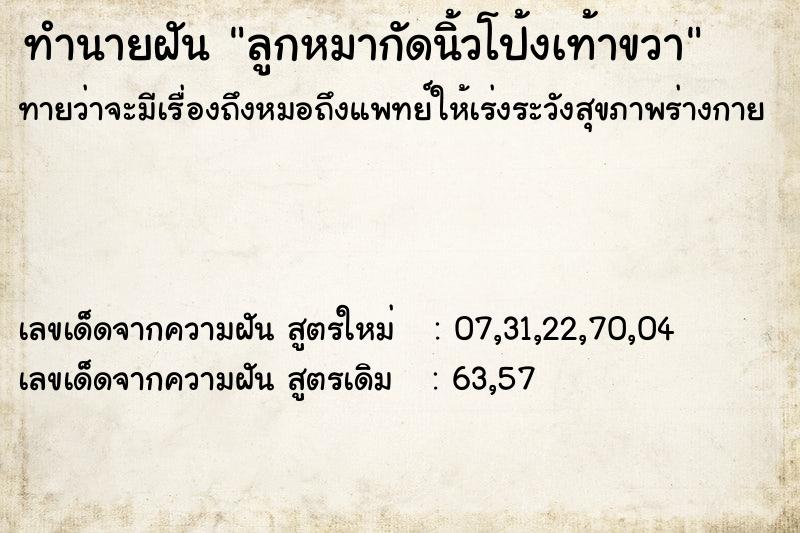 ทำนายฝัน ลูกหมากัดนิ้วโป้งเท้าขวา ตำราโบราณ แม่นที่สุดในโลก