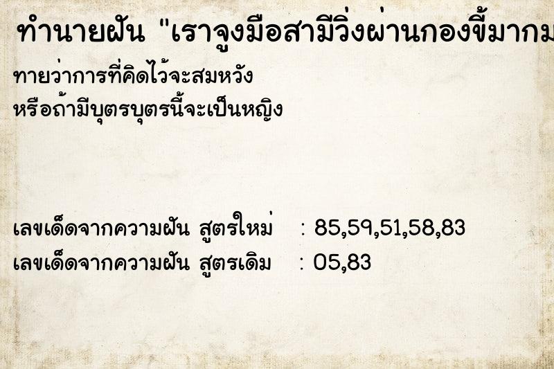 ทำนายฝันเราจูงมือสามีวิ่งผ่านกองขี้มากมาย ทำนายฝันทำนายฝันเราจูงมือสามีวิ่งผ่านกองขี้มากมาย