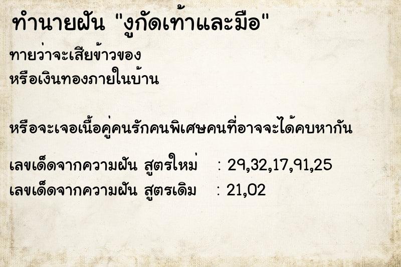 ทำนายฝันงูกัดเท้าและมือ ทำนายฝันทำนายฝันงูกัดเท้าและมือ