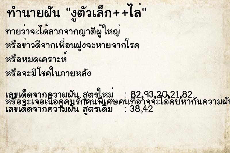 ทำนายฝันงูตัวเล็ก++ไล่ ทำนายฝันทำนายฝันงูตัวเล็ก++ไล่