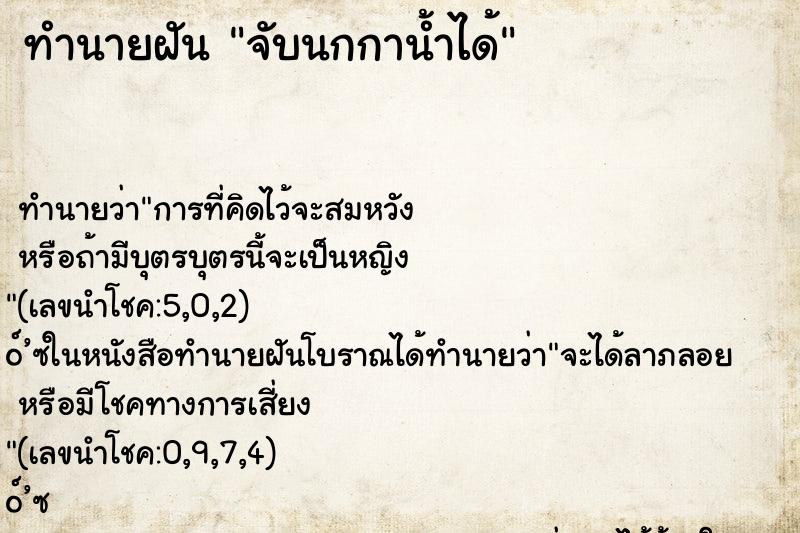 ทำนายฝันจับนกกาน้ำได้ ทำนายฝันทำนายฝันจับนกกาน้ำได้