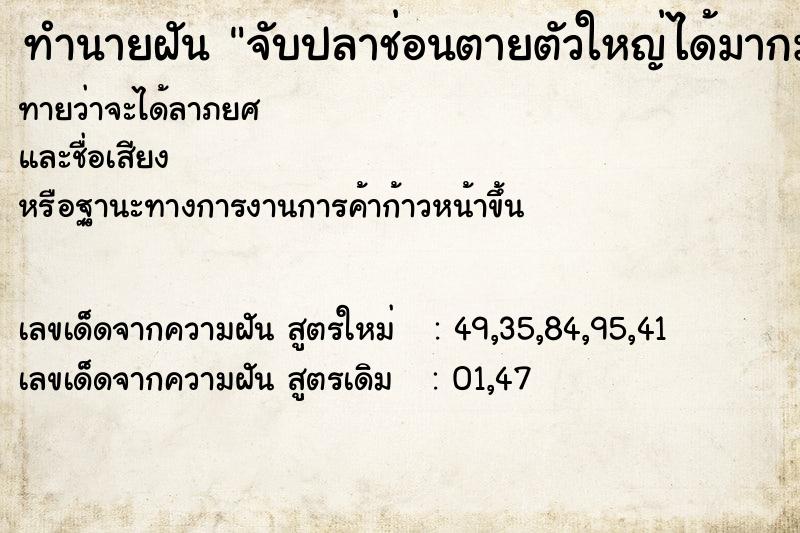 ทำนายฝันทำนายฝันจับปลาช่อนตายตัวใหญ่ได้มากมาย
