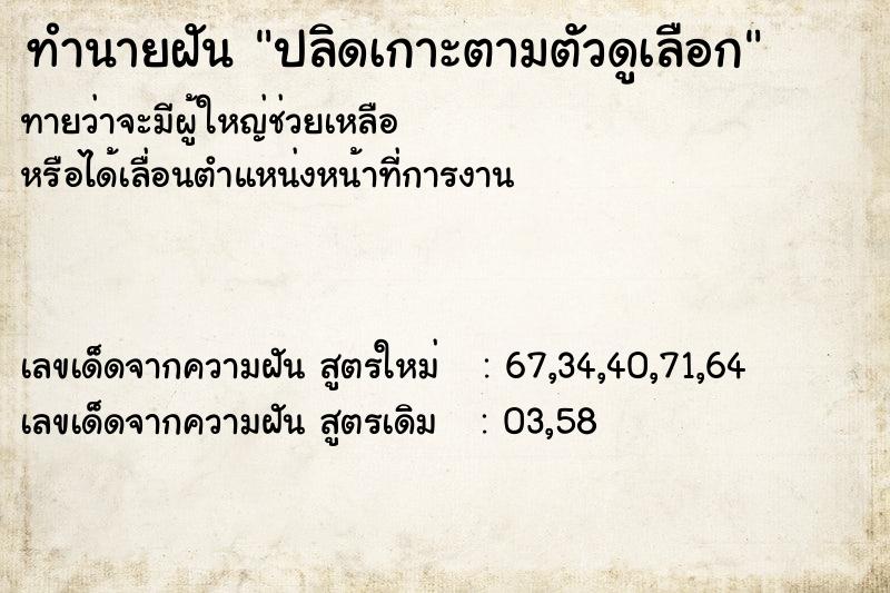 ทำนายฝันทำนายฝันปลิดเกาะตามตัวดูเลือก