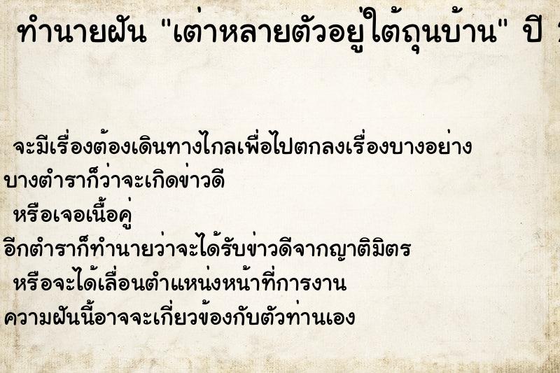 ทำนายฝันเต่าหลายตัวอยู่ใต้ถุนบ้าน ทำนายฝันทำนายฝันเต่าหลายตัวอยู่ใต้ถุนบ้าน