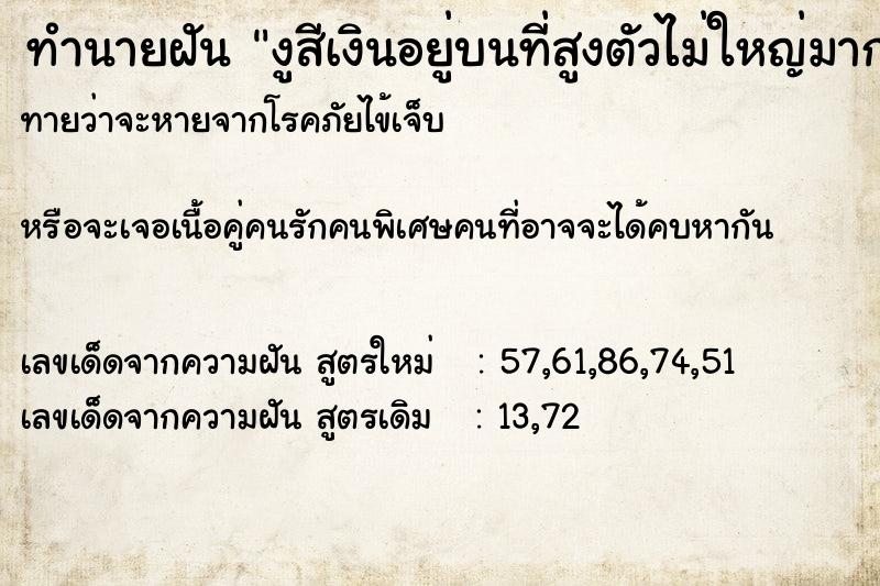 ทำนายฝันทำนายฝันงูสีเงินอยู่บนที่สูงตัวไม่ใหญ่มาก