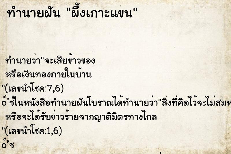 ทำนายฝัน ผึ้งเกาะแขน ตำราโบราณ แม่นที่สุดในโลก