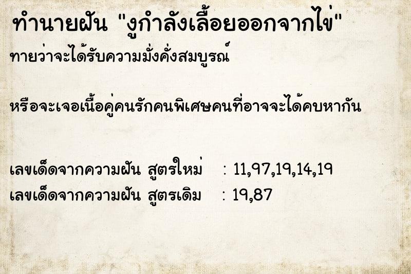 ทำนายฝันงูกำลังเลื้อยออกจากไข่ ทำนายฝันทำนายฝันงูกำลังเลื้อยออกจากไข่