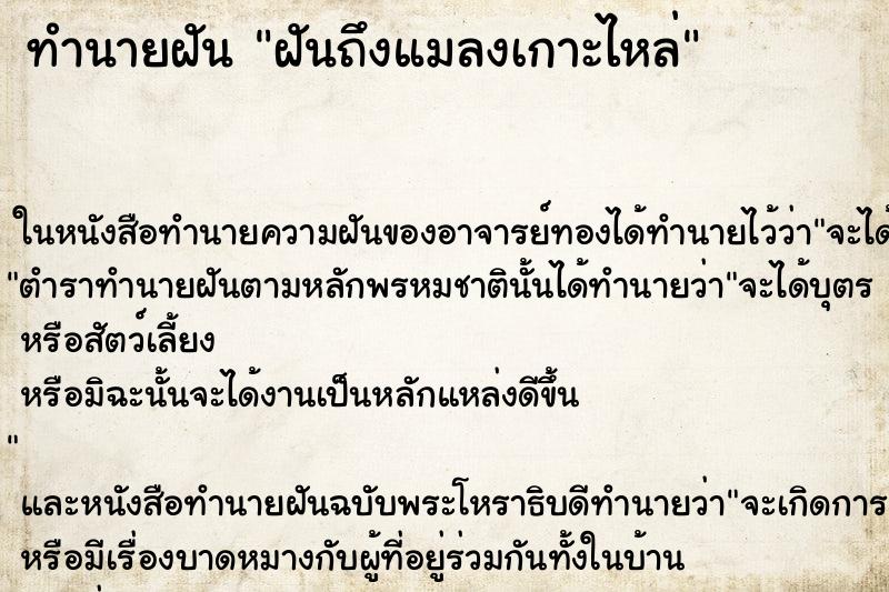 ทำนายฝัน ฝันถึงแมลงเกาะไหล่