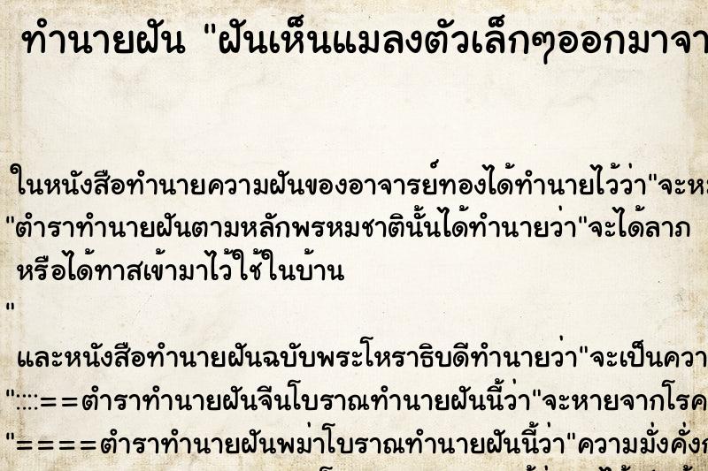 ทำนายฝันทำนายฝันฝันเห็นแมลงตัวเล็กๆออกมาจากตู้เสื้อผ้าเต็มไปหมด