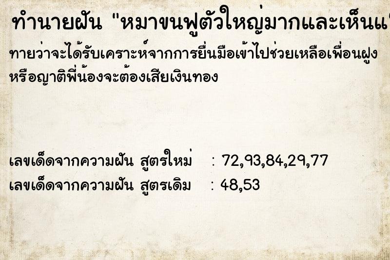 ทำนายฝันหมาขนฟูตัวใหญ่มากและเห็นแ ทำนายฝันทำนายฝันหมาขนฟูตัวใหญ่มากและเห็นแ