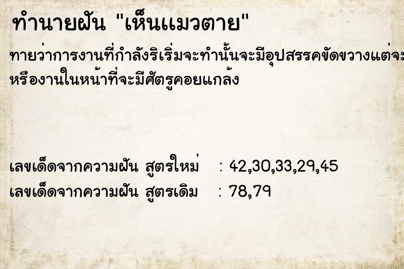 ทำนายฝันเห็นเเมวตาย ทำนายฝันทำนายฝันเห็นเเมวตาย