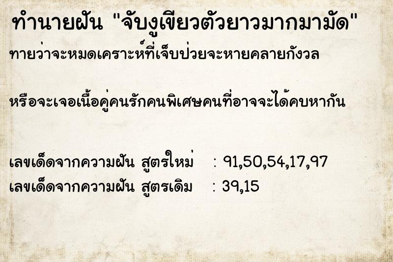 ทำนายฝันทำนายฝันจับงูเขียวตัวยาวมากมามัด