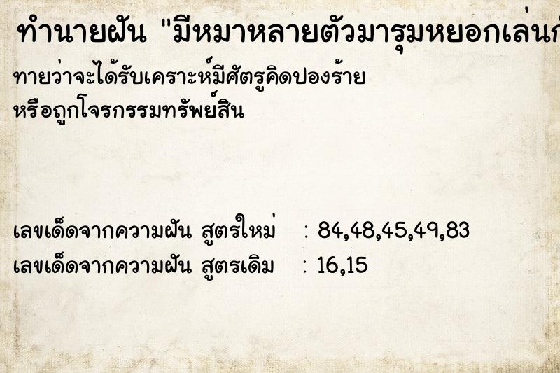 ทำนายฝันทำนายฝันมีหมาหลายตัวมารุมหยอกเล่นกับตัวเอง