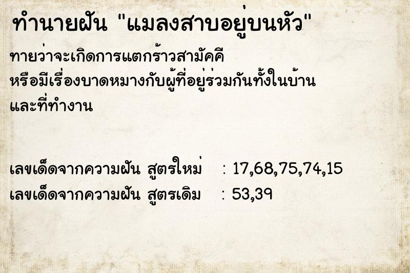 ทำนายฝันแมลงสาบอยู่บนหัว ทำนายฝันทำนายฝันแมลงสาบอยู่บนหัว