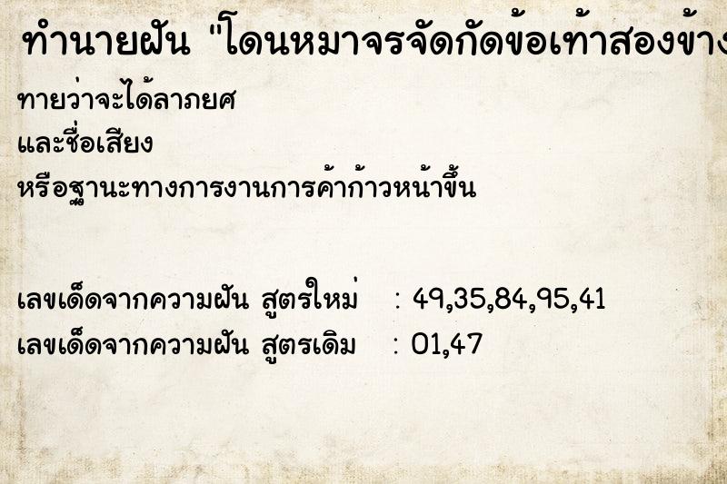 ทำนายฝันทำนายฝันโดนหมาจรจัดกัดข้อเท้าสองข้าง
