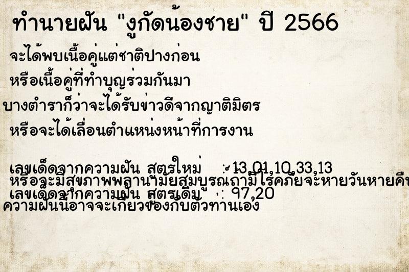 ทำนายฝัน งูกัดน้องชาย ทำนายฝัน งูกัดน้องชาย