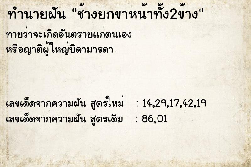 ทำนายฝันช้างยกขาหน้าทั้ง2ข้าง ทำนายฝันทำนายฝันช้างยกขาหน้าทั้ง2ข้าง