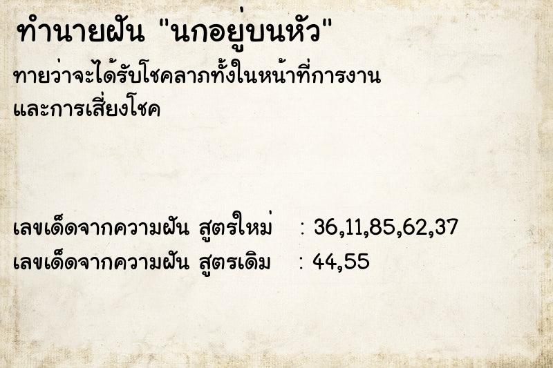 ทำนายฝันทำนายฝันนกอยู่บนหัว
