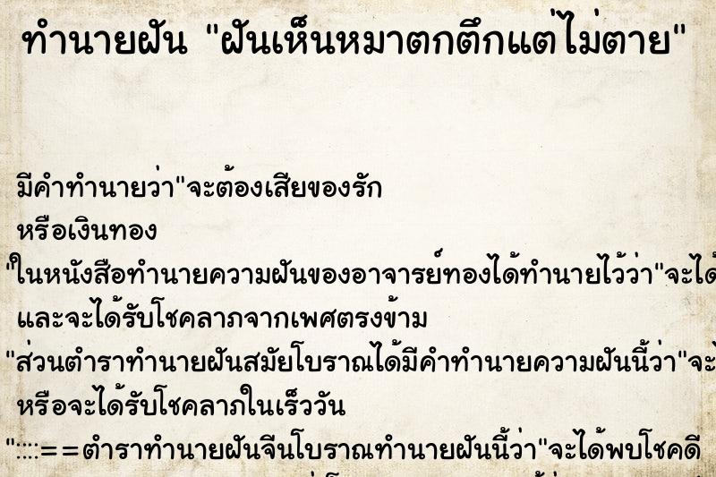 ทำนายฝันฝันเห็นหมาตกตึกแต่ไม่ตาย ทำนายฝันทำนายฝันฝันเห็นหมาตกตึกแต่ไม่ตาย