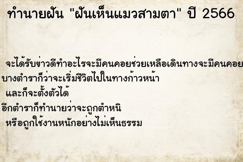 ทำนายฝัน ฝันเห็นแมวสามตา ทำนายฝัน ฝันเห็นแมวสามตา