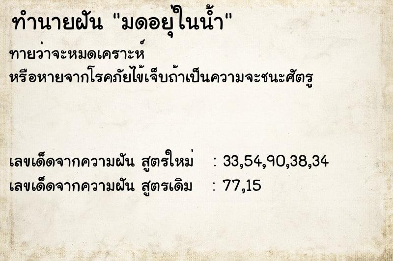 ทำนายฝันทำนายฝันมดอยุ่ในน้ำ