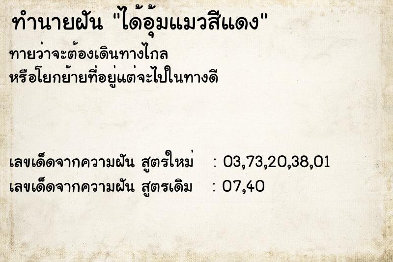 ทำนายฝันทำนายฝันได้อุ้มแมวสีแดง