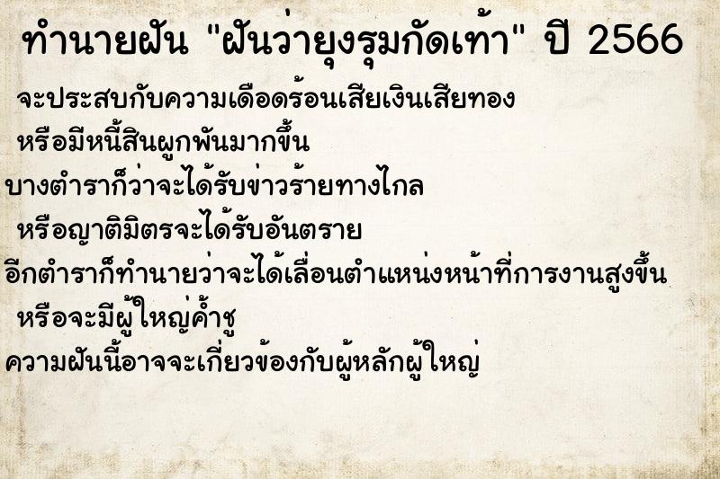 ทำนายฝันฝันว่ายุงรุมกัดเท้า ทำนายฝันทำนายฝันฝันว่ายุงรุมกัดเท้า