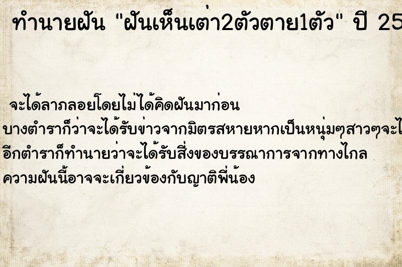 ทำนายฝันฝันเห็นเต่า2ตัวตาย1ตัว ทำนายฝันทำนายฝันฝันเห็นเต่า2ตัวตาย1ตัว