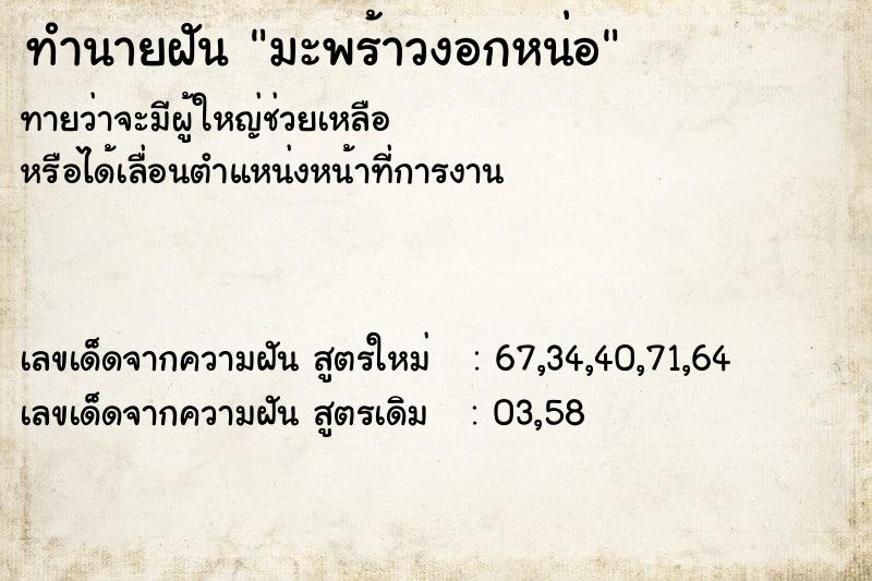 ทำนายฝันทำนายฝันมะพร้าวงอกหน่อ