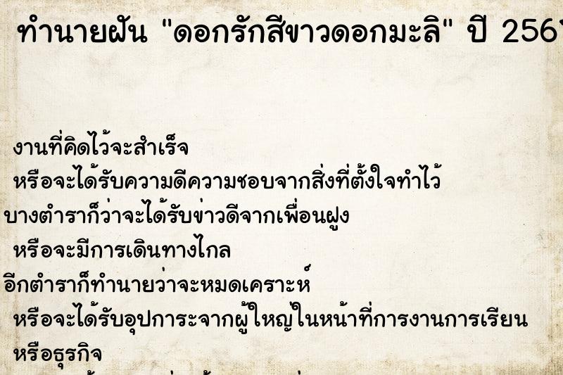 ทำนายฝัน ดอกรักสีขาวดอกมะลิ ทำนายฝัน ดอกรักสีขาวดอกมะลิ