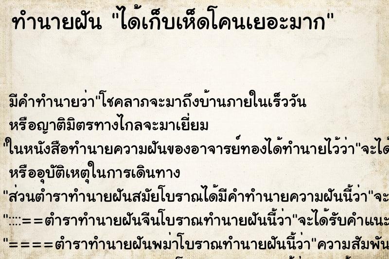 ทำนายฝันทำนายฝันได้เก็บเห็ดโคนเยอะมาก