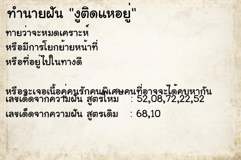 ทำนายฝันทำนายฝันงูติดแหอยู่