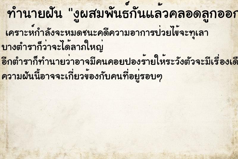 ทำนายฝัน งูผสมพันธ์กันแล้วคลอดลูกออกมา ตำราโบราณ แม่นที่สุดในโลก