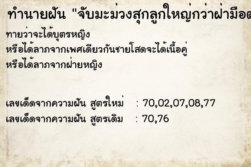 ทำนายฝันทำนายฝันจับมะม่วงสุกลูกใหญ่กว่าฝ่ามือตัวเอง