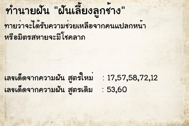 ทำนายฝัน ฝันเลี้ยงลูกช้าง ทำนายฝัน ฝันเลี้ยงลูกช้าง