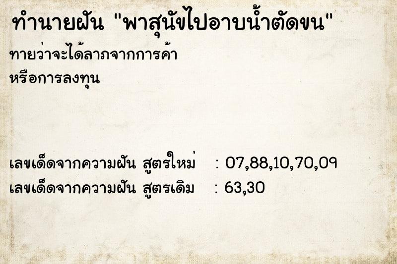 ทำนายฝันพาสุนัขไปอาบน้ำตัดขน ทำนายฝันทำนายฝันพาสุนัขไปอาบน้ำตัดขน