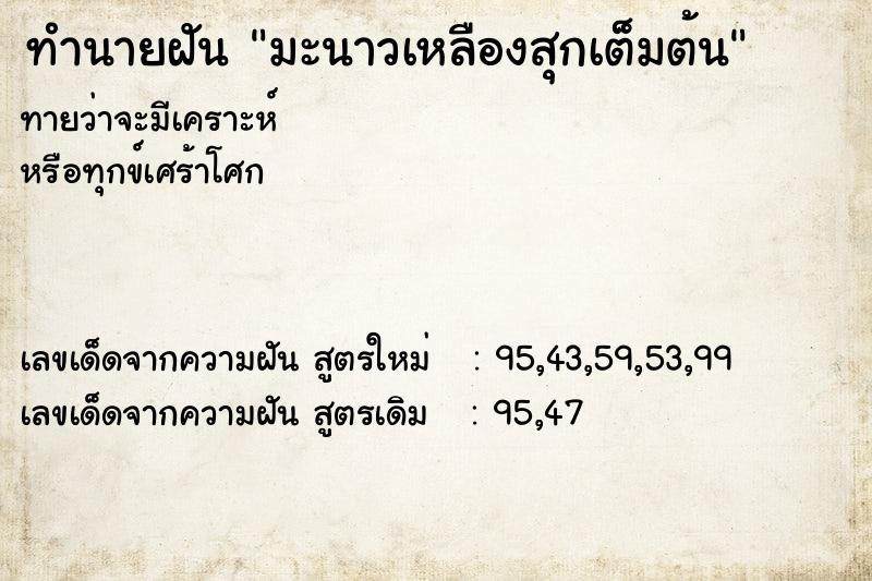 ทำนายฝันทำนายฝันมะนาวเหลืองสุกเต็มต้น