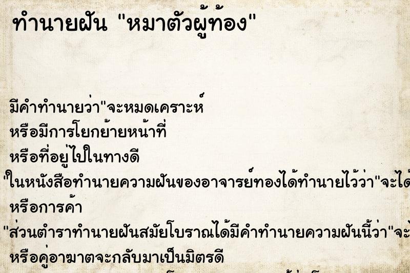 ทำนายฝัน หมาตัวผู้ท้อง ตำราโบราณ แม่นที่สุดในโลก