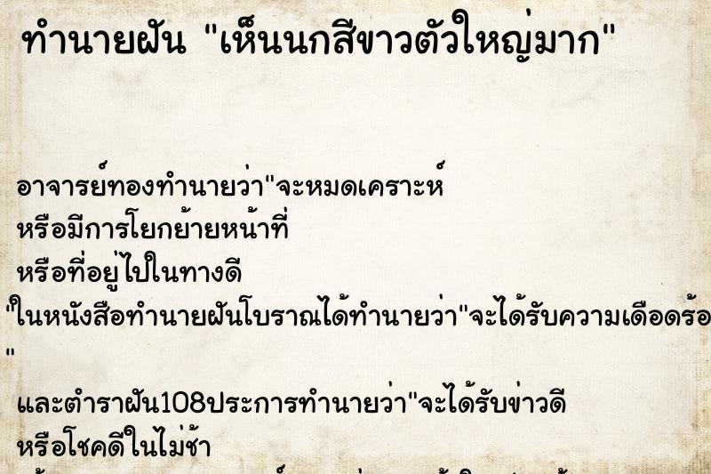 ทำนายฝันทำนายฝันเห็นนกสีขาวตัวใหญ่มาก
