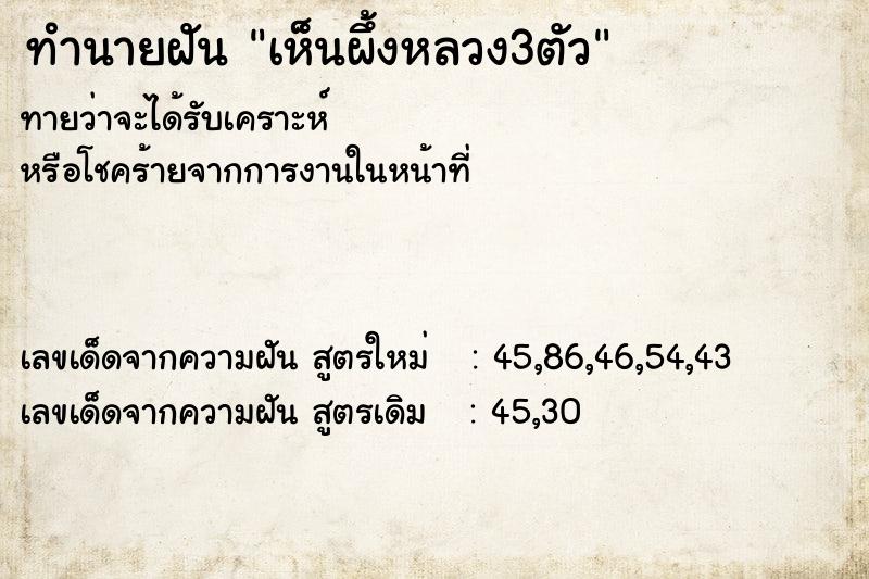 ทำนายฝันทำนายฝันเห็นผึ้งหลวง3ตัว